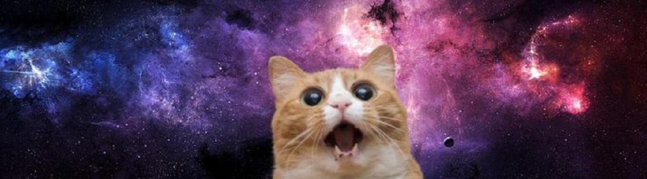 Татьяна Орешкина