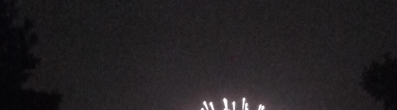 Ксения Гудкова