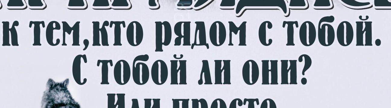 Махмуд Шаипов 