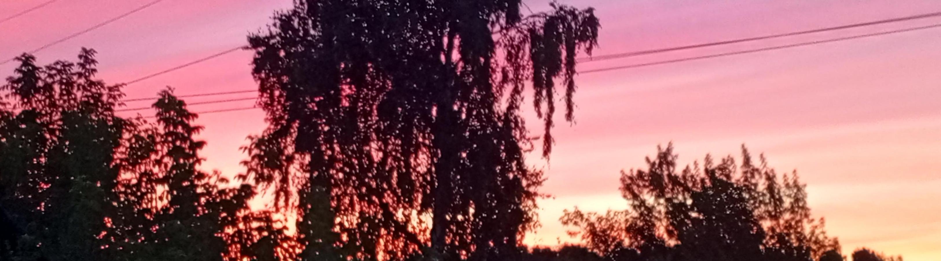 Алексей Беляков