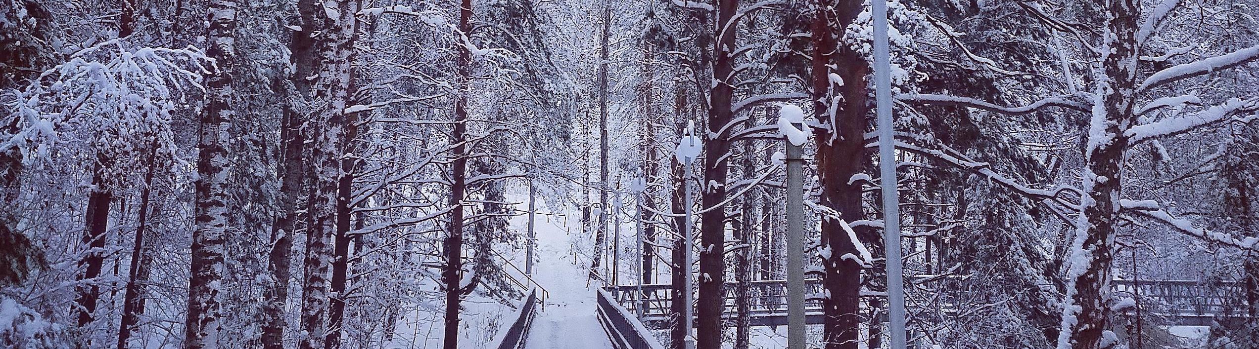 Мобилография 