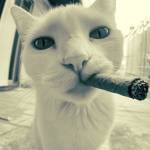 Юрий Дорофеев