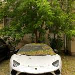 Абрам Густов