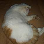 Мила Наумова