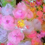 Елена Дубоделова