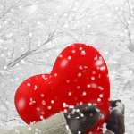 Жабраил Кастоев