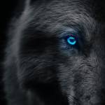 , Еагений Васильев