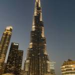 Серега Серёга