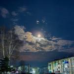 Александра Маркова