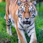 УЛУГБЕК Юсупов