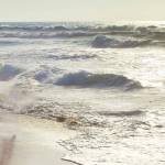 Диана Зинченко