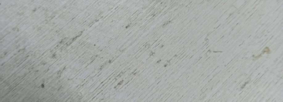 Антон Носов