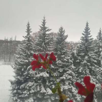 Впн Profile Picture