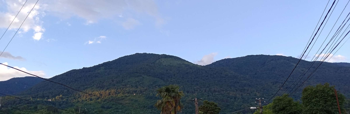 Алексей Дегтярев