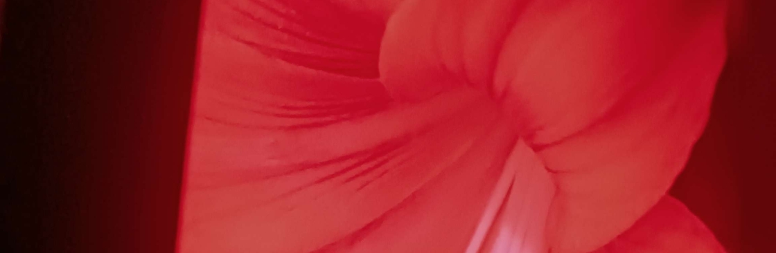 Марина Николаевна