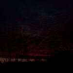 Ксаня Таганов