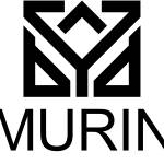 Андрей Мурин