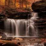 Александр Ярошук