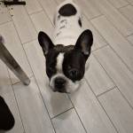 Измаил Багаутинов