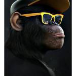 Денис Бережной