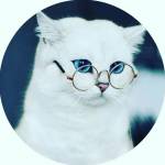 Евгения Дерконос