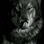 Егор Матусевич