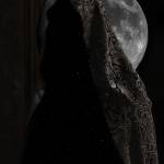 ЛУННЫЙ СВЕТ