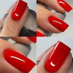 Наргиз ГАРАГАШЕВА