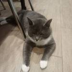 Наталья Самойлова