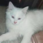 Вера Сайкина