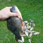 Александр Воронцов