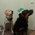 Пёселевичи