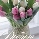 Виктория Мирошникова