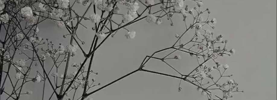 Мария Курганова