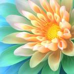 Алина Трушкова