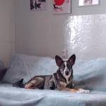 Таисья Васильевская