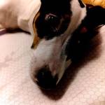 Валентина Вильдеева