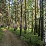 Вадим Караблин