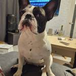 Елена Кучеренко