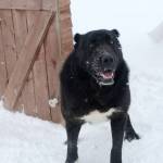 Дима Ларионов