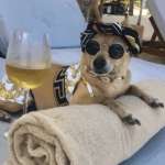 Длинная Коса