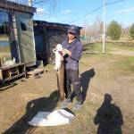 Dostonbek Sherimmatov