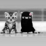 Религия ислама