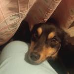 Славик Синичкин