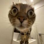 Геннадий Котов