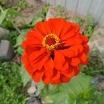 Природа 27 rus