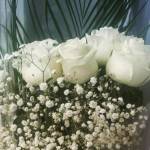 Наталья Польских