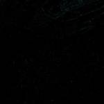 Дмитрий Бекаревич