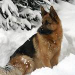 Екатерина Александровна