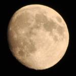 Макс Денисов